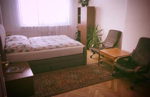 Podoli Apartment | Apartment Anna Vysehrad