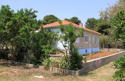 Batalaza Apartment | Apartment Apartmani Nataša (77481-A1) - Ugljan