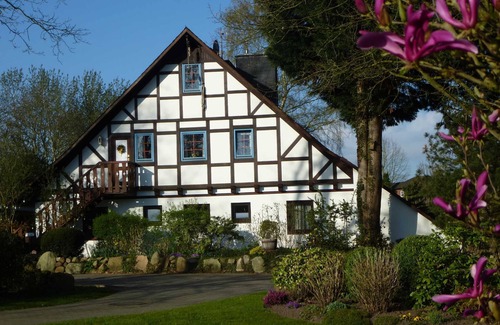 Hedendorf Apartment | Apartment - Apartment Am Walde