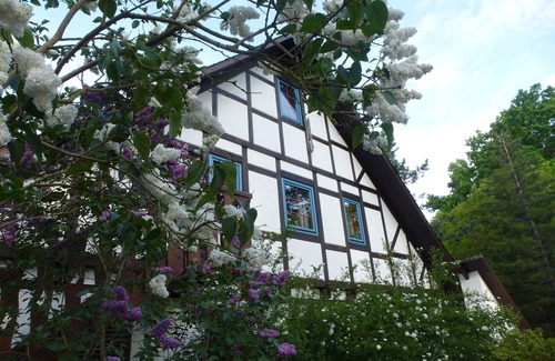 Hedendorf Apartment | Apartment - Apartment Am Walde