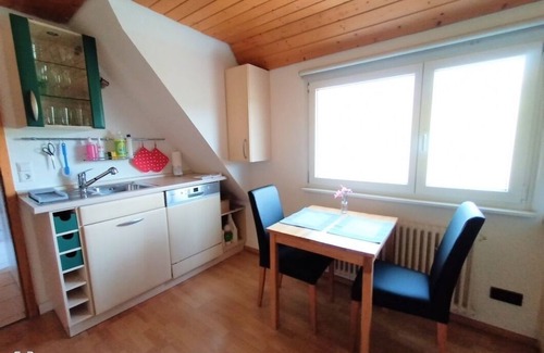 Petershausen-Ost Apartment | Apartment/apartment for 4 guests with 50m² in Konstanz (164774)