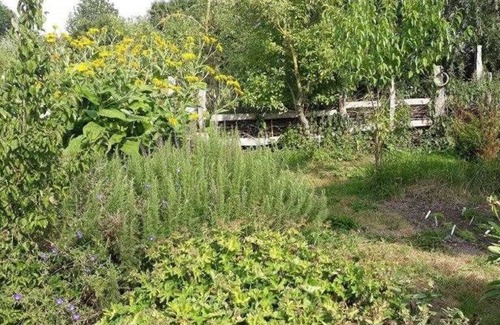 Borrentin Apartment | Apartment - Apartment Wolkwitz South