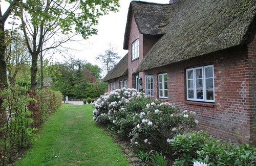 Alkersum Apartment | Apartment / app. for 4 guests with 60m² in Alkersum (109485)