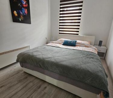 Vinkovci Apartment | Apartment Aria