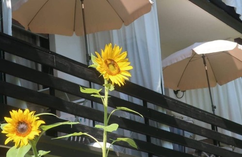 Velden am Worther See Apartment | Apartment 'Haus Melanie - Fewo 4' with Mountain View, Shared Garden and Wi-Fi