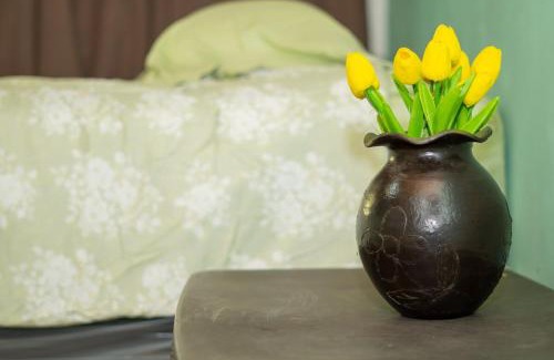 Managua Apartment | Apartment away from the noise