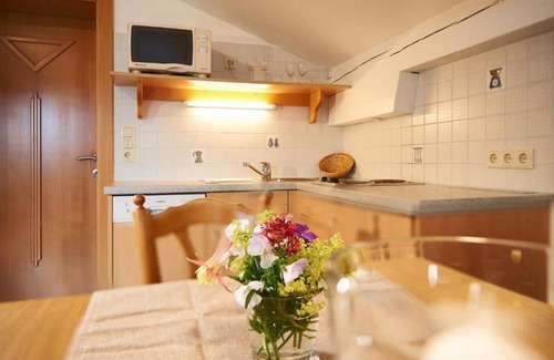 Wagrain Apartment | Apartment B mit ca 54 qm - im Auhof Wagrain