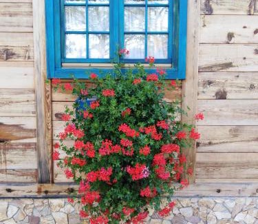 Mokra Gora Apartment | Apartment Bajka