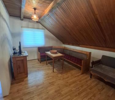 Pluzine Apartment | Apartment Beautiful view in Piva