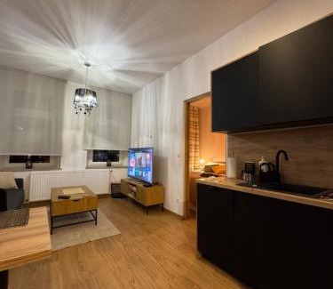Zgorzelec Apartment | Apartment between the bridges
