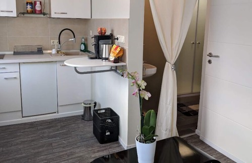 Feyen-Weismark Apartment | Apartment Bina 5min to the Moselle