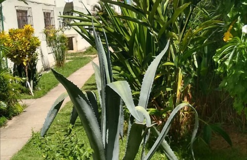 Parafuso Apartment | Apartment 20 minutes from Mussurunga subway, 10 minutes from Salvador Norte shopping and Itapuã 2 bedrooms, only 1 available with double bed, wi-fi, fan and kitchen for meal preparation, 1 shared bathroom