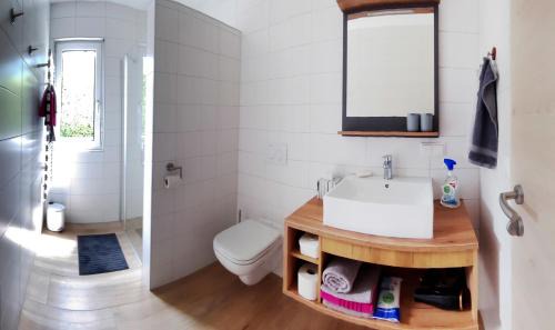Obertraun Apartment | Apartment Brigitte