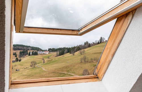 Todtnau Apartment | Apartment 'Buche' with Mountain View, Shared Terrace and Wi-Fi