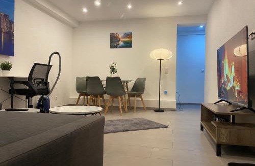 Bad Friedrichshall Apartment | Apartment Business Suite mit 2 Schlafzimmer & Parkplatz, Fußbodenheizung & Netflix Premium, Zentral zu Audi & Schwarz Gruppe