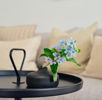 Zirchow Apartment | Apartment C 9 "Pine Hill Resort"