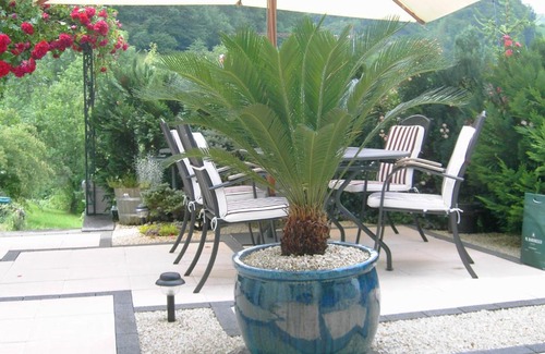 Eptingen Bed & Breakfast | Apartment Capitolio Eptingen
