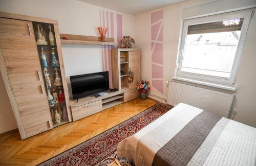 Radovljica Apartment | Apartment Carmen
