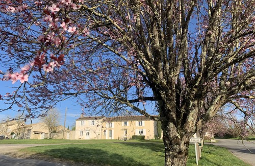 Montignac-Charente Apartment | Apartment 'Charmant Studio Meublé' with Wi-Fi