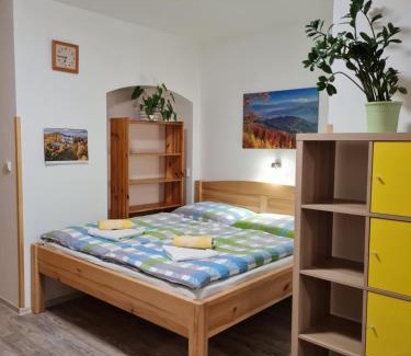 Bela pod Pradedem Apartment | aPARTment chLEEW (1844)