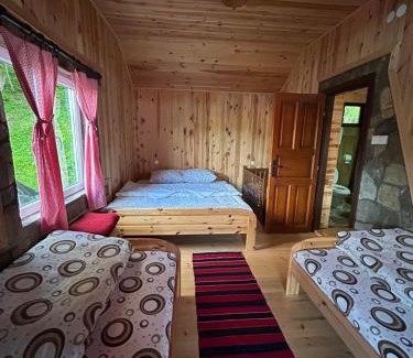 Montenegro Cabin | Apartment Country Villa MMMM-1-Camp Scepanovic