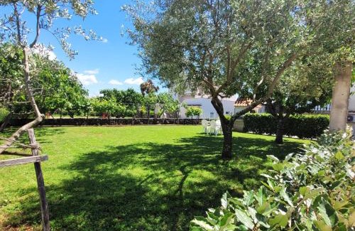 Sveti Anton Apartment | Apartment Danica