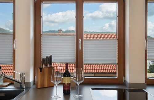 Muhlheim an der Donau Apartment | Apartment 'Schöne Ferienwohnung Mit Kostenlos' with Mountain View, Wi-Fi and Air Conditioning