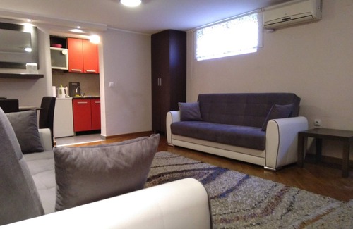 Lisicji Potok Apartment | Apartment Dedinje - Belgrade - Entire apartment