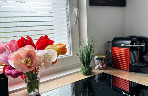 Duisburg Sud Apartment | Apartment 'Deluxe Apartement Mit Terrasse' with Shared Terrace and Wi-Fi