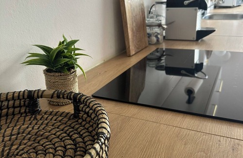Duisburg Sud Apartment | Apartment 'Deluxe Loftapartement Big Size' with Shared Terrace and Wi-Fi