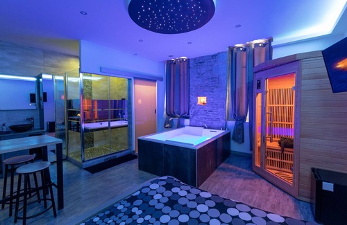 Dijon Centre Ville Apartment | Apartment-Deluxe-Whirlpool bath-Cocooning Spa
