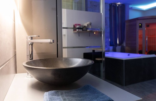 Dijon Centre Ville Apartment | Apartment-Deluxe-Whirlpool bath-Cocooning Spa