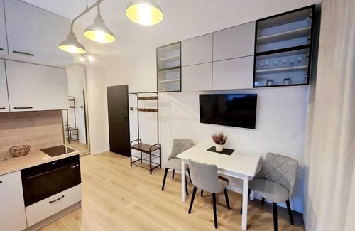 Mlyniska Apartment | Apartment DOKI in Gdańsk