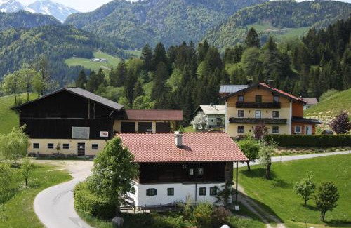 Abtenau Apartment | Apartment Eckstoa