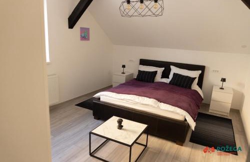 Pozega Apartment | Apartment Eden