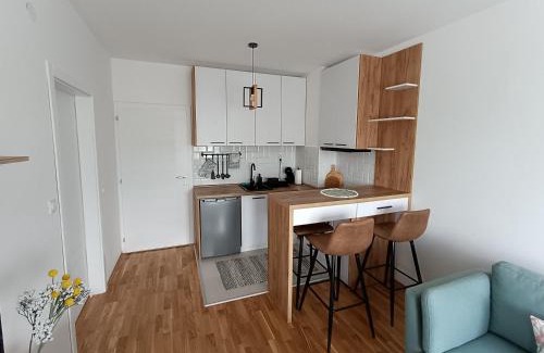 Pirot Apartment | Apartment Eight - Pirot