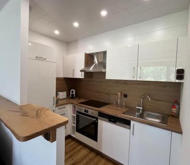 Obertraun Apartment | Apartment Elisabeth