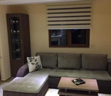 Kopaonik Apartment | Apartment Elvir
