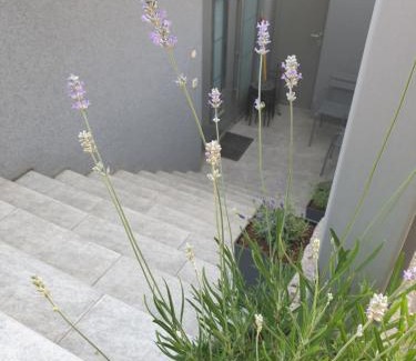 Ljubljana Apartment | Apartment EMMA Ljubljana - FREE parking, AC, Wifi