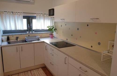 Ljubljana Apartment | Apartment EMMA Ljubljana - FREE parking, AC, Wifi