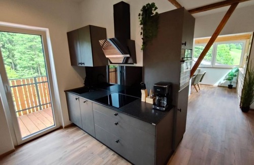 Spittal an der Drau Apartment | Apartment Erna - Burgbichl Apartments