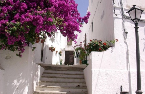 Jerez de la Frontera Apartment | APARTMENT 85 M2 - RENOVATED - 6 PEOPLE