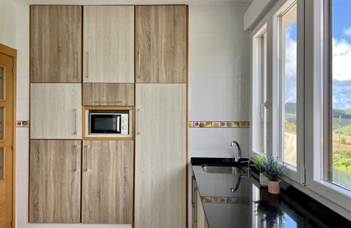 Meruelo Apartment | Apartment Casa Toñi - 2833