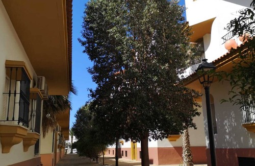 Zahara de los Atunes Apartment | Apartment Aretusa Luz