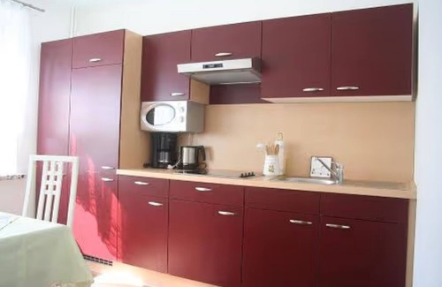 Niederau Apartment | Apartment 'Für 3' with Shared Terrace, Private Garden and Wi-Fi