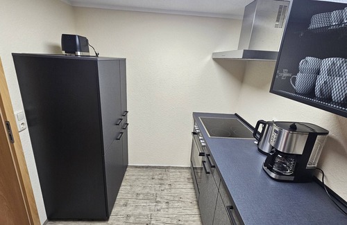 Bad Klosterlausnitz Apartment | Apartment 'Ferienwohnung Am Schwanenteich' with Wi-Fi