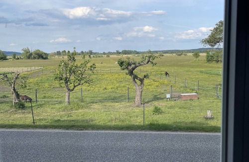 Schoeneberg b. Angermuende Apartment | Apartment Falkenberg Pets welcome