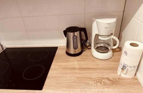 Salzweg Apartment | Apartment 'Felix Living 9' with Wi-Fi