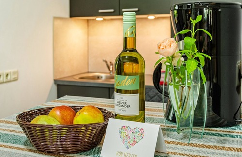 Idafehn Apartment | Apartment 'Fewo1 Seelter Ai Saterland' with Shared Garden, Balcony and Wi-Fi
