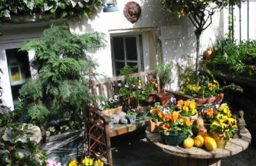 Chouze-sur-Loire Apartment | Apartment/flat - Chouze/loire